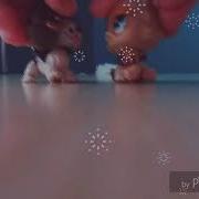 Black Bear Tarro Remix Clean Edit