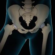 Minimally Invasive Total Hip Replacement THR Nucleus Health