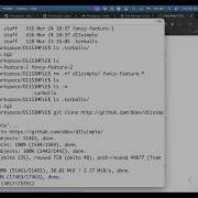 DDEV Contributor Training Git Worktree And DDEV 2026 03 26