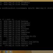 Shell Script Expr Echo Sort