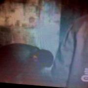 Supernatural Season 4 Episode 6 Yellow Eyes