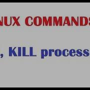 Linux Beginners Tutorials PS And KILL Commands With Examples