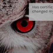 Стоит ли мне получать сертификат администратора баз данных SQL Уважаемый администратор баз данн