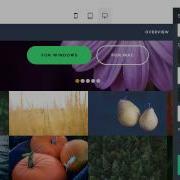 ColorM A Brave Bootstrap Template By The Mobirise Team