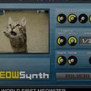 KNOBSTER Meowsynth