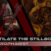 Necrophagist Mutilate The Stillborn GUITAR COVER
