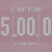 5 Hour Countdown Timer Flip Clock With Simple Beeps