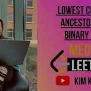 235 Lowest Common Ancestor Of A Binary Search Tree LEETCODE Python Medium