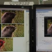 Java Image Processing