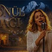 Neşet Ertaş Gönül Dağı Anadolu Rock Cover SynoirMusic