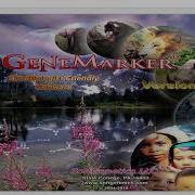 GeneMarker Repeat Expansion Analysis Application