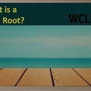 WCLN What Is A Square Root