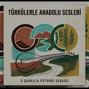 Anadolu Esintileri Minnet Eylemem Gitme Turnam Gitme Ervah ı Ezelde