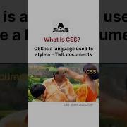 CSS Programmers Life Programmerslife Programmerlife Programmer Codelife Memes Funny Code