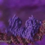 How DNA Is Packaged Advanced