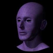 Hila Tayar A Head Modeling Wireframe 360