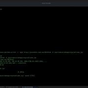 CVE 2017 5638 Apache Struts 2 Jakarta Multipart Parser RCE
