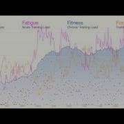 What Is The Performance Management Chart