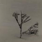 Scripting A Tree Using Recursion Method With MAXscript