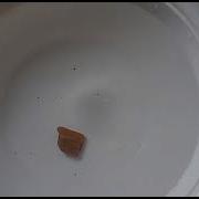 Floating And Sinking Of Different Materials
