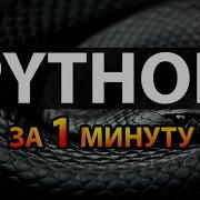 Python за 1 минуту 16 Глобальные и локальные переменные