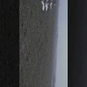 состояние озимой пшеницы на 110221