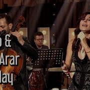 Rubato Funda Arar Dile Kolay
