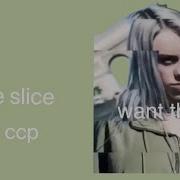 Time Slice Tutorial Ccp