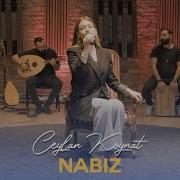 Ceylan Koynat Nabız Cover