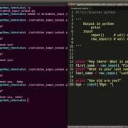 Python 03 Variables And Input