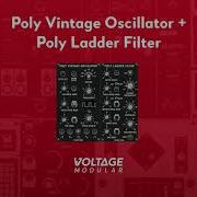 Voltage Modular Poly Vintage Oscillator Poly Ladder Filter