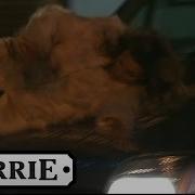 Coronation Street Sarah Gets Run Over