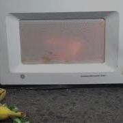 Wachting An Egg Explode In A Microwave