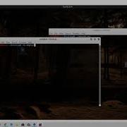 60 Combining Our Python Tool With Command Injection Vulnerability