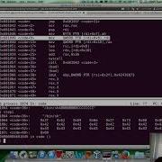 X86 64 Assembly Language And Shellcoding On Linux Execve JMP CALL POP Shellcode GDB Analysis
