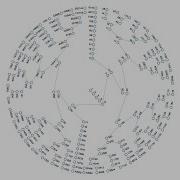 Collatz Conjecture Java Project