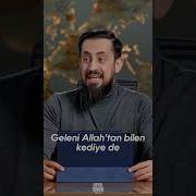 Kediler Aslında Bize Bir Şey Söylemek İstiyor Shorts