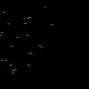 3D Bird Flocking Simulation Algorithm