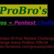 Solution Video Of First Pentest Challenge SQL Injection Arena ProBros Official