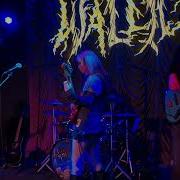 20260420 Wallice Punching Bag Live At The Foundry Philadelphia PA