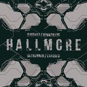 Hallmore Sky Runner