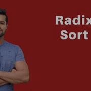 Radix Sort Sorting Algorithm