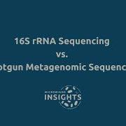 16S RRNA Gene Sequencing Vs Shotgun Metagenomic Sequencing