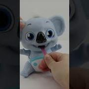 Can This Koala Really Eat Your Hair Funny Cute