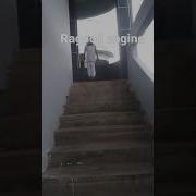Ragdoll Real Life