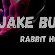 Jake Bugg Rabbit Hole Lyrics