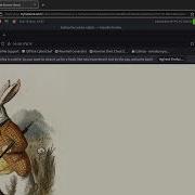 Wonderland CTF TryHackMe Part One External Enumeration