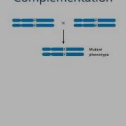 Spring 2015 Lecture 5 Complementation