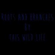 This Wild Life Roots And Branches Lyrics