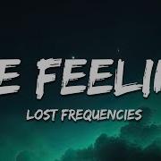 Lost Frequencies The Feeling Lyrics